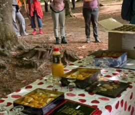#image_title Group of people standing and chatting in a forest clearing beside a table of pastries and drinks.