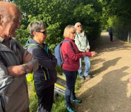 #image_title Group of seniors standing along a gravel path beside lush green trees, chatty and ready for a walk, with backpacks and casual outdoor clothing.