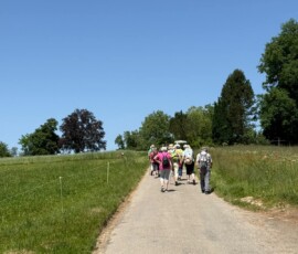Group of hikers with backpacks walking along a gravel path through green fields under a clear blue sky.