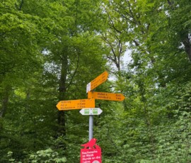 #image_title Orange directional trail signs on a metal post in a dense green forest, pointing to nearby towns with walking times; lush foliage all around.