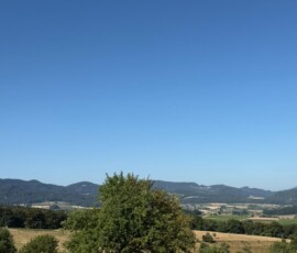 Wide blue sky over a rural valley with a few scattered trees and distant hills; golden fields in the foreground.
